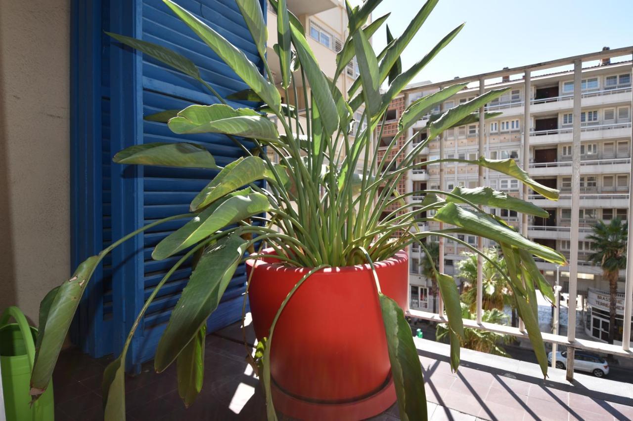 Le Gambetta Appartement Toulon Buitenkant foto